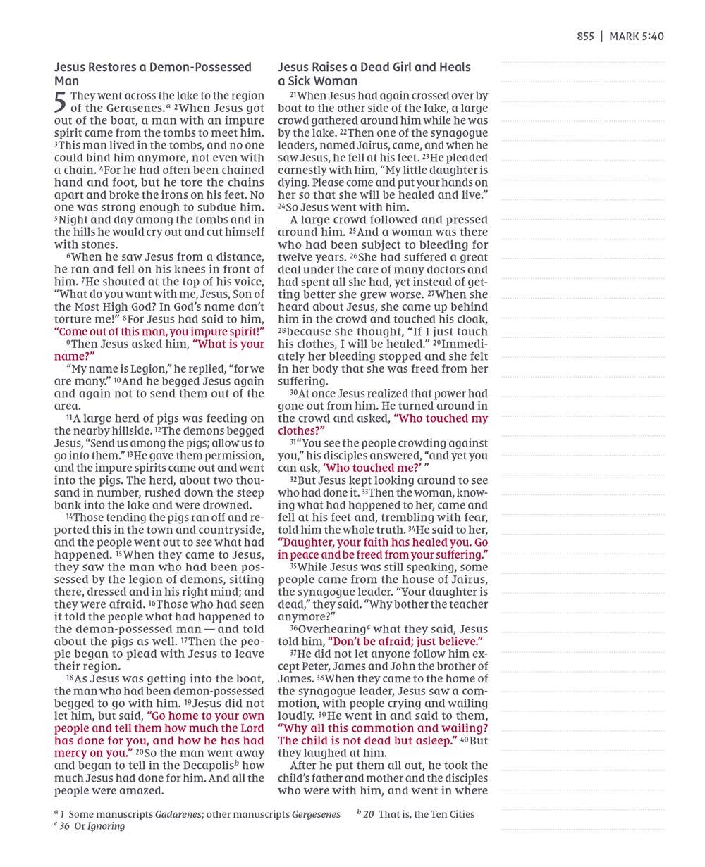 NIV Journal The Word Bible, Double-Column Leathersoft Pink