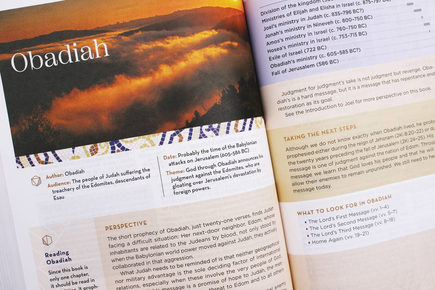 NIV Application Bible Hardcover Multi Cream Red Letter