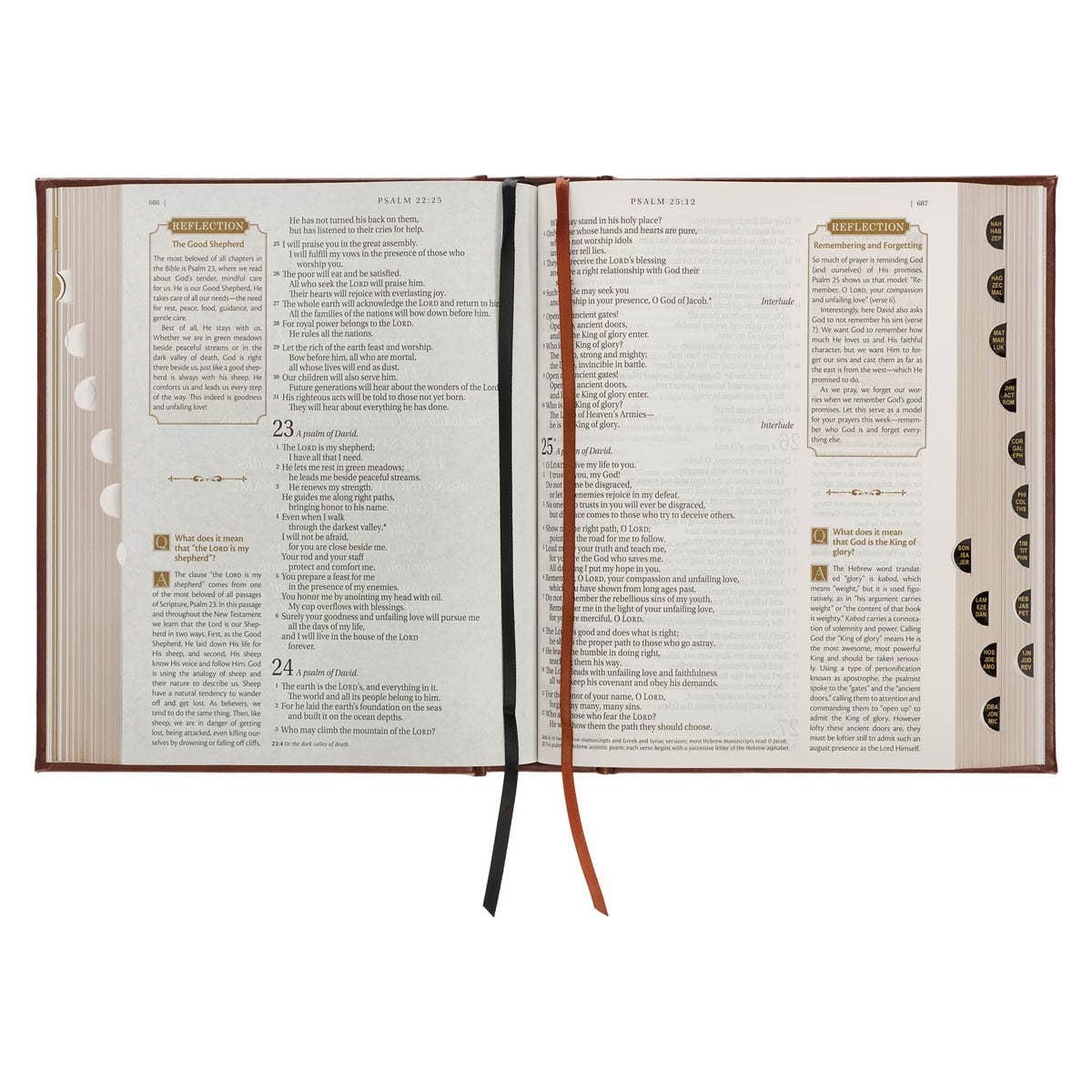 NLT, The Family Heritage Bible Hardcover, Brown