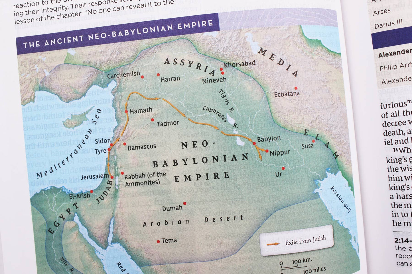 NIV Application Bible Leathersoft Red Letter Comfort Edition