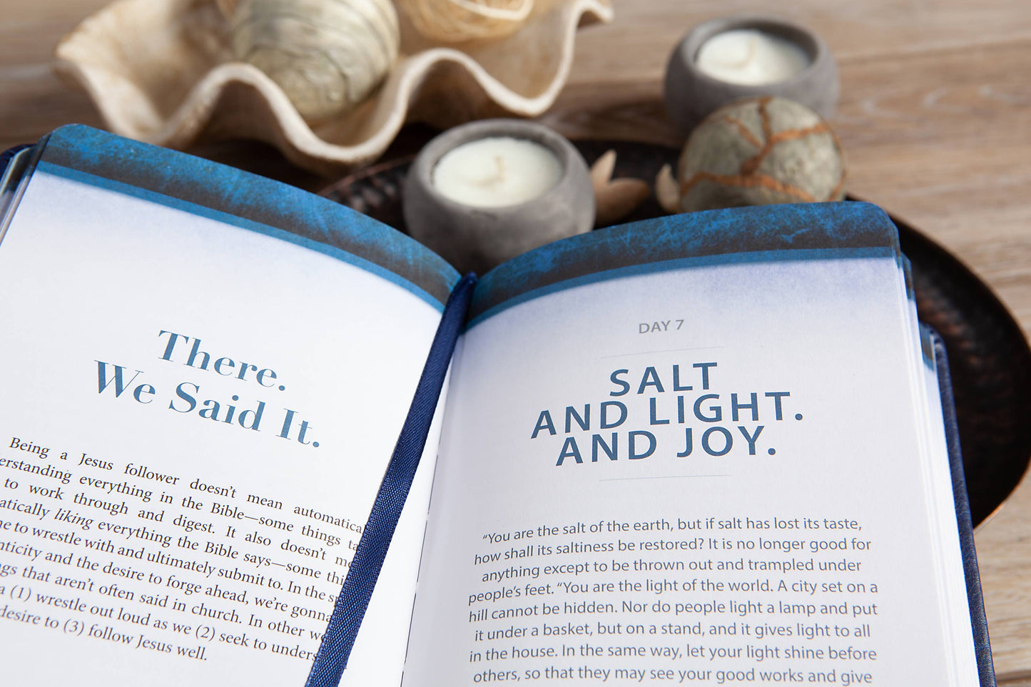 The Chosen (Devotional #2)