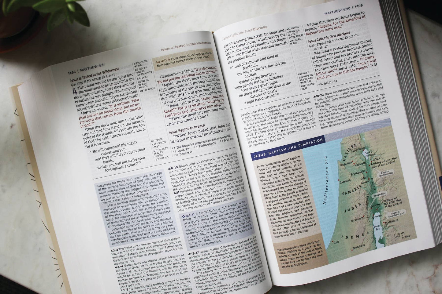 NIV Application Bible Hardcover Multi Cream Red Letter