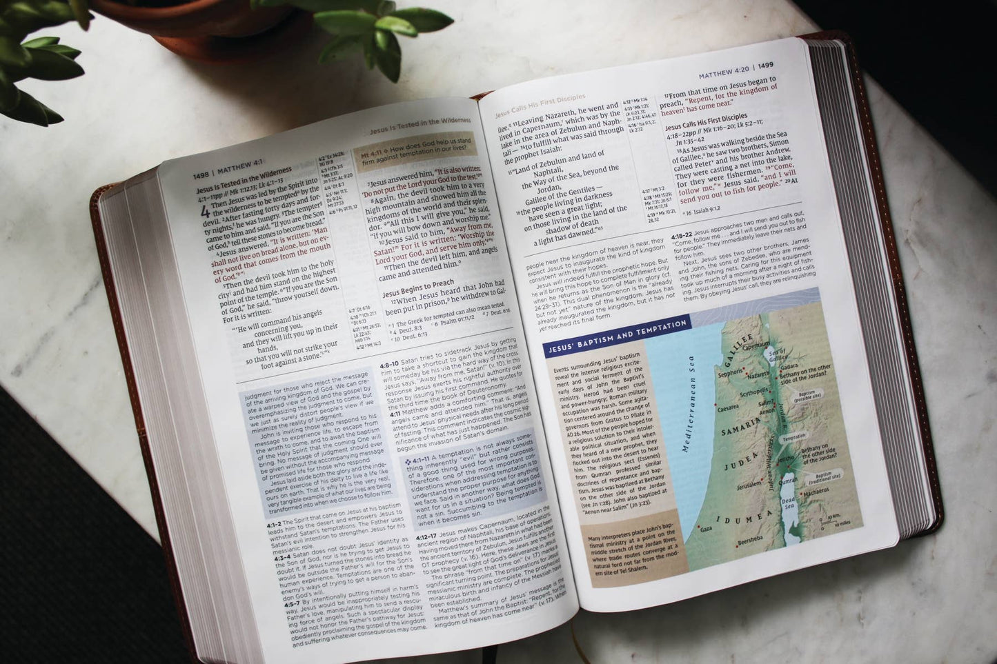 NIV Application Bible Leathersoft Red Letter Comfort Edition