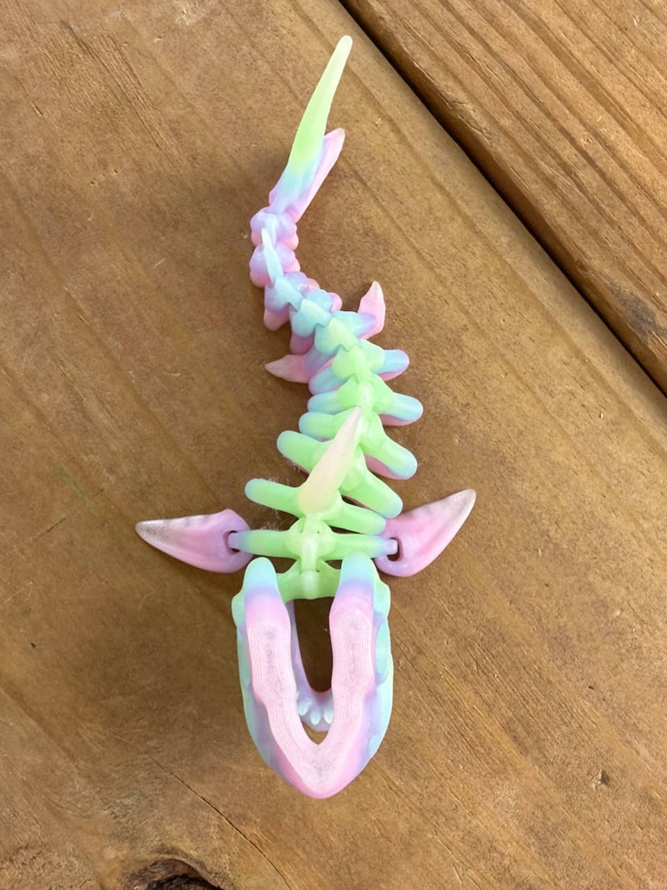Flexi Skeleton Shark-Sensory, Desk Fidgeting & Unique Gifts