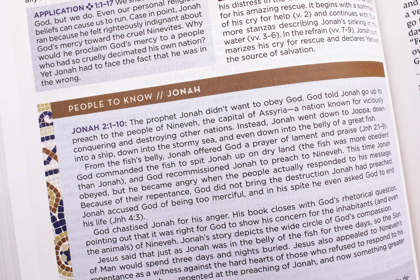 NIV Application Bible Hardcover Multi Cream Red Letter