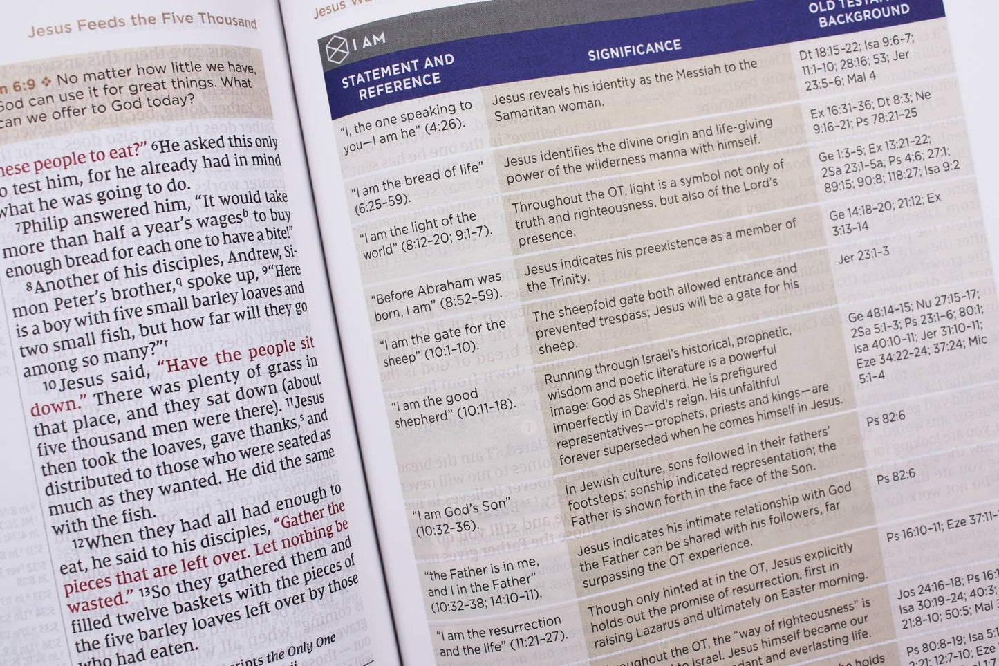 NIV Application Bible Hardcover Multi Cream Red Letter