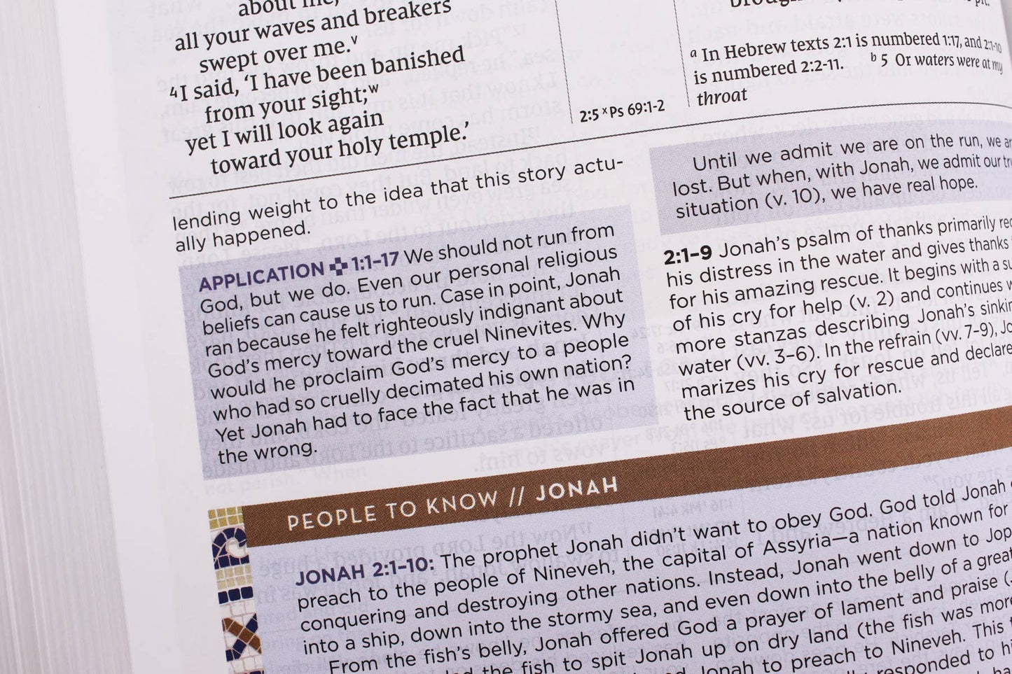 NIV Application Bible Hardcover Multi Cream Red Letter